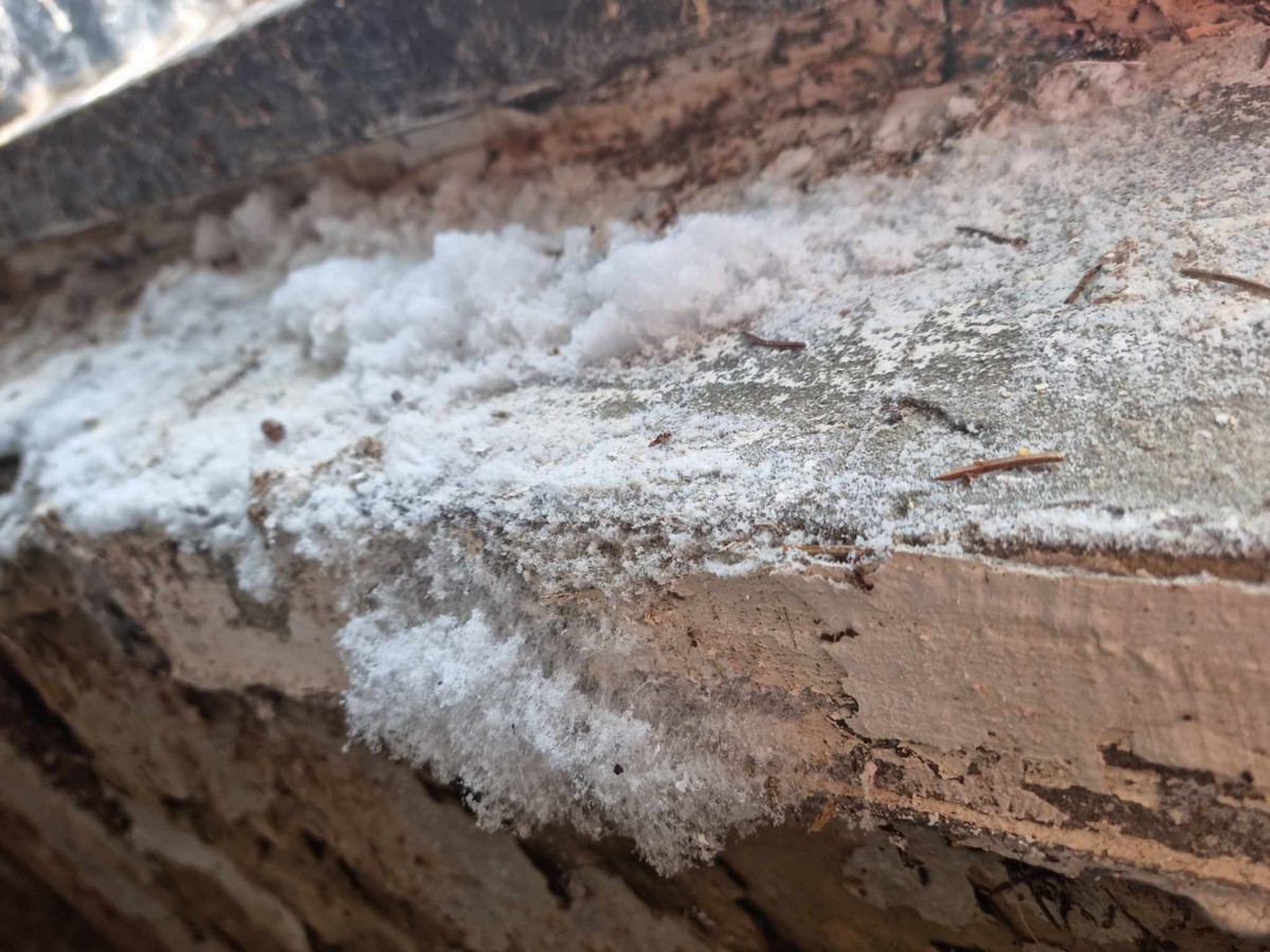 Salétromos fal kezelése - utólagos vízszigetelés